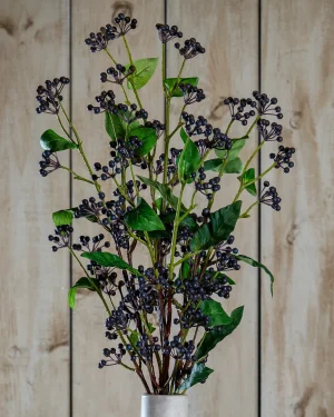 Viburnum Berry