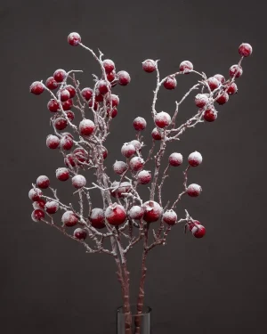 Large Red Festive Berry