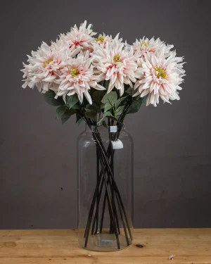 Lush Pink Dahlia