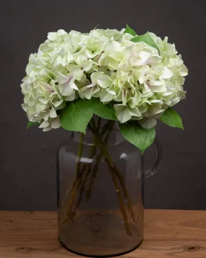 Shabby Green Single Hydrangea