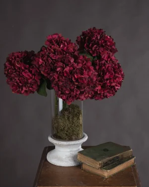 Autumn Ruby Hydrangea
