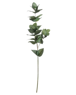 Eucalyptus Filler